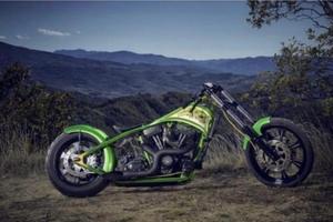 Softail special