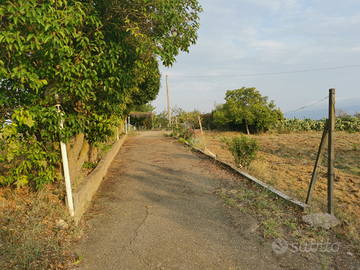 Campagna con casa e terreno a Piazza Armerina