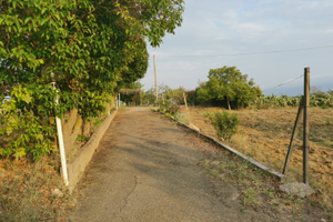 Campagna con casa e terreno a Piazza Armerina
