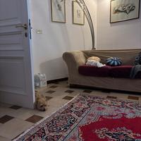 Tappeto persiano originale e due divani