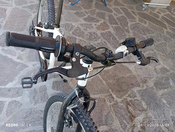 Bici ragazzi