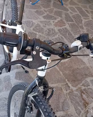 Bici ragazzi