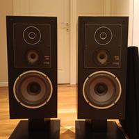 Casse acustiche Sony SS E50 II