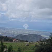 TER. AGRICOLO A GIARDINELLO