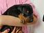 Immagine 1