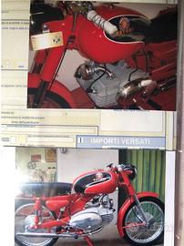 Motobi 250 spring lasting