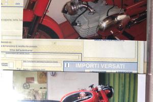 Motobi 250 spring lasting