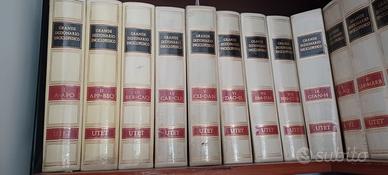 Enciclopedia completa Utet 29 volumi