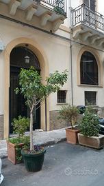 Ampio monovano uso transitorio