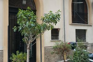 Ampio monovano uso transitorio