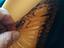 Immagine 5