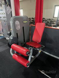 LEG CURL TECHNOGYM SELECTION