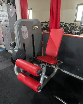 LEG CURL TECHNOGYM SELECTION