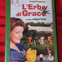 DVD L'erba di Grace