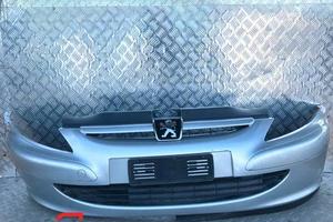 PARAURTI ANTERIORE PEUGEOT 307 (01-05)