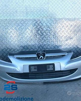 PARAURTI ANTERIORE PEUGEOT 307 (01-05)