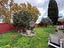 Immagine 22