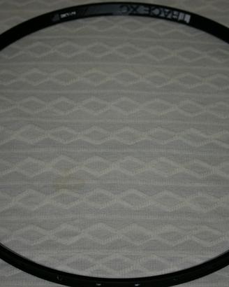 Cerchio ryde trace xc 27.5 pollici