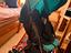 Immagine 3