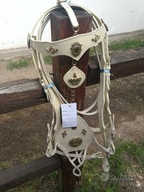 testiera e redini barocco cavallo full