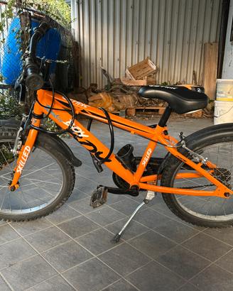 Bicicletta 6-8 anni