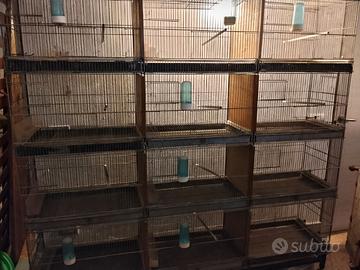 Batteria 15 gabbie per uccelli