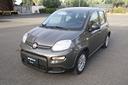 fiat-panda-1-0-firefly-70cv-s-s-hybrid