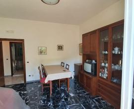 Carpineto romano: appartamento mansarda garage