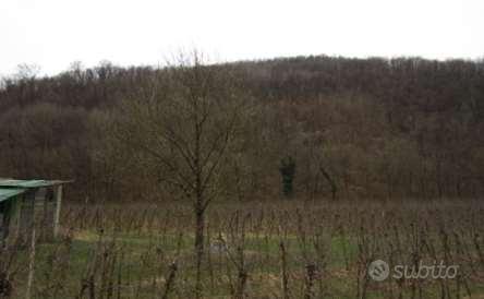 Terreni agricoli a San Pietro al Natisone (UD)