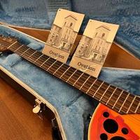 Chitarra acustica Ovation 6868 Elite Made USA