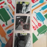 tappetino cani per auto