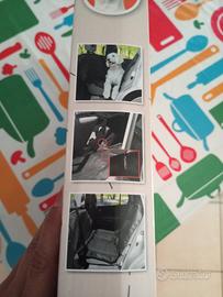 tappetino cani per auto