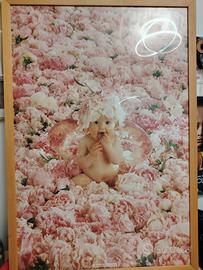   CORNICE e vetro poster ANNE GEDDES
