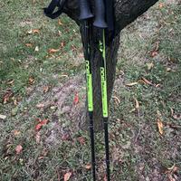 Coppia bastoncini trekking