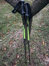 Coppia bastoncini trekking