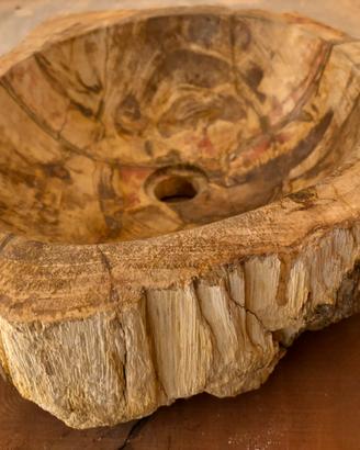 LAVABO LEGNO PIETRIFICATO