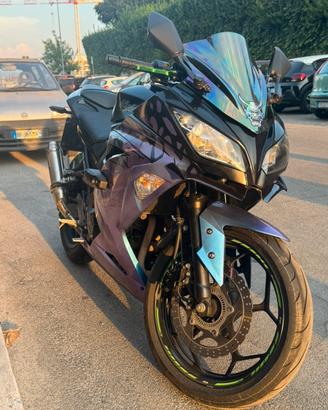 Kawasaki Ninja 300 ABS
