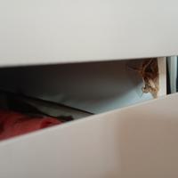 cassettiera malm (Ikea) 6 cassetti