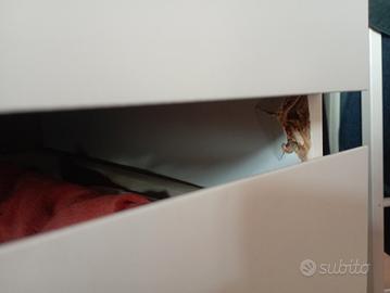 cassettiera malm (Ikea) 6 cassetti