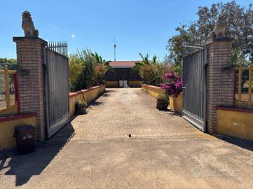 VILLA SINGOLA A ALEZIO