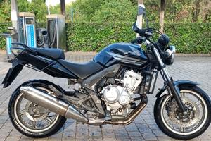 CBF 600 n