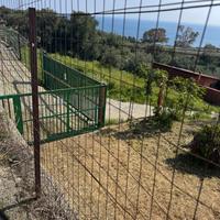 Terreno agricolo