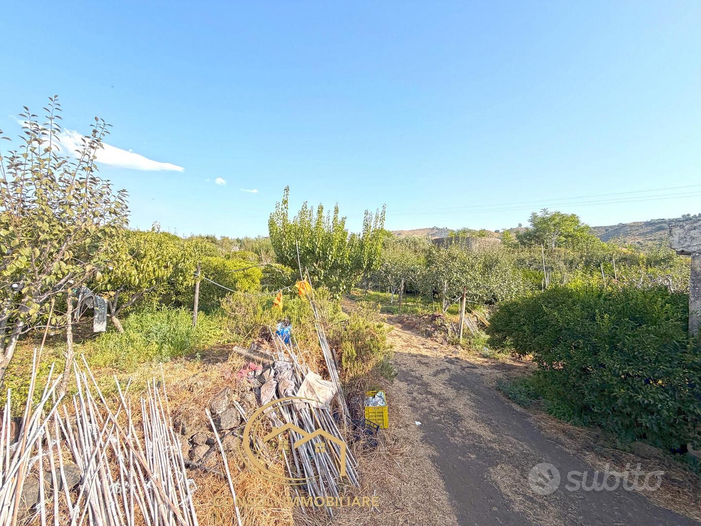 Agrumeto, frutteto, uliveto a Piedimonte Etneo - Vista 5