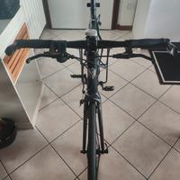 Bianchi  