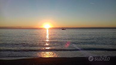 Mare