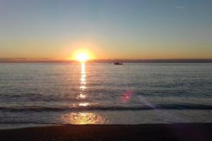 Mare
