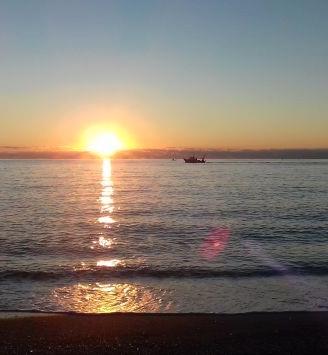 Mare