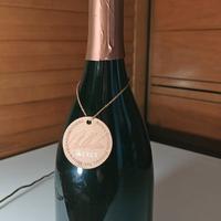Vino Spumante LAMBRUSCO E PINOT NERO Rosé