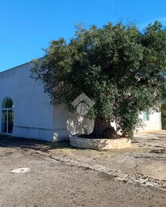 VILLA SINGOLA A POLIGNANO A MARE