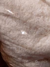 Cotone per imbottitura